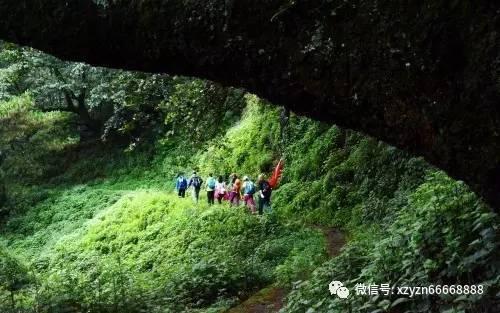 芭比一字肩