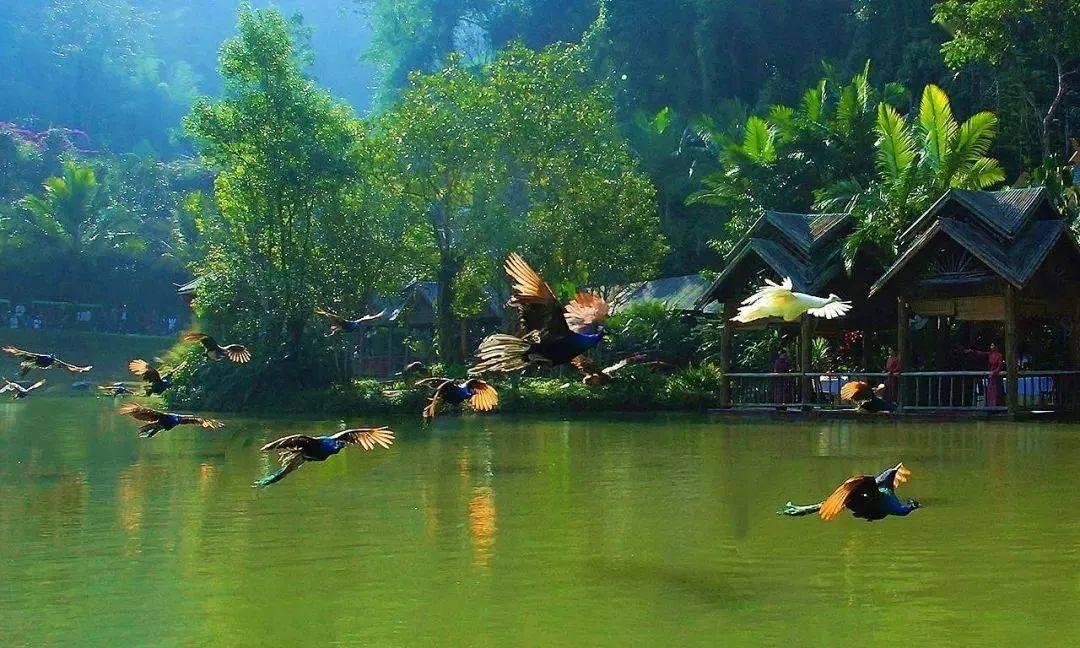 时尚博主街拍