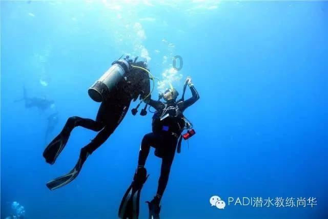 救援受困的鬃狼