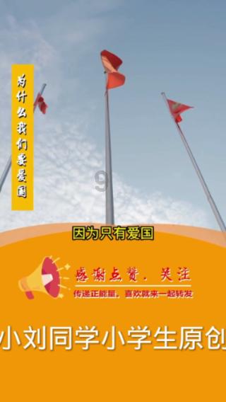 用心做服务 “实”力助营商