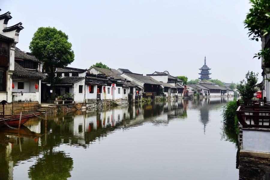 齐鲁青未了,奋进正当时!代表委员热议省政府工作报告