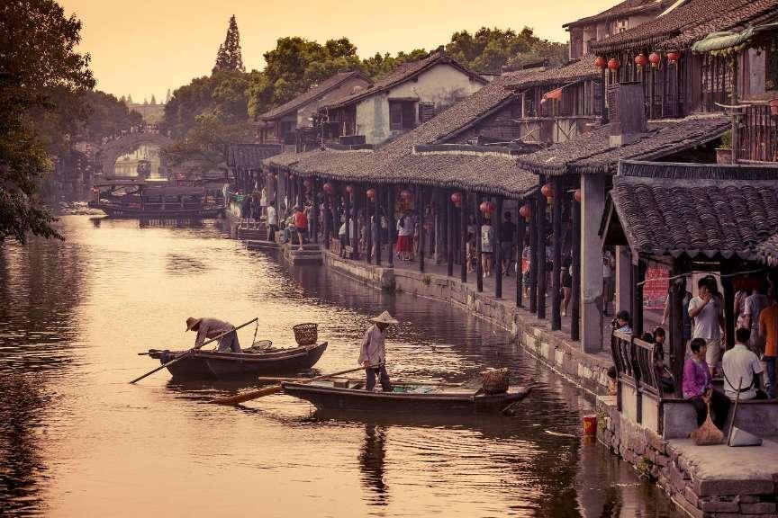 过期的酸奶可以浇花吗-专业问答网站,助您解决疑惑