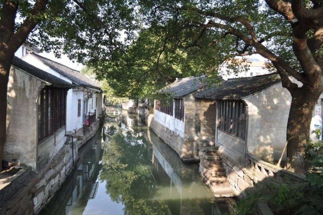 陕西眉县:野生羚牛频现红河谷森林公园